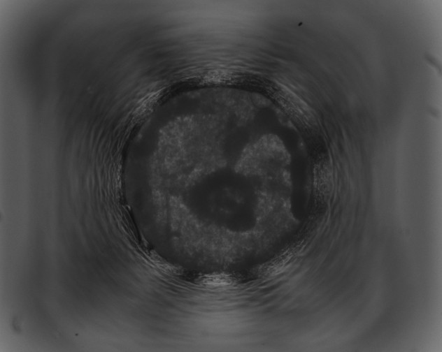 X0000097500127200803201601