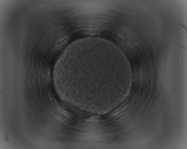 X0000097500128200803201601