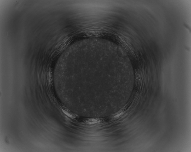 X0000097500130200803201601
