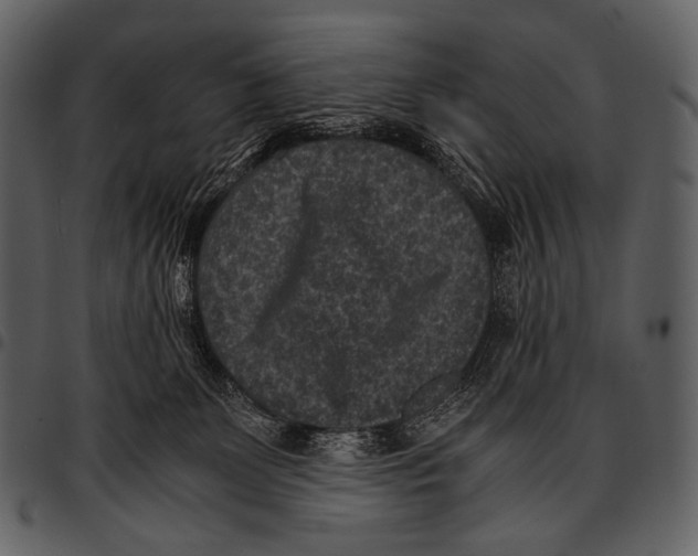 X0000097500131200803201601