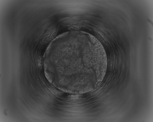 X0000097500134200803201600