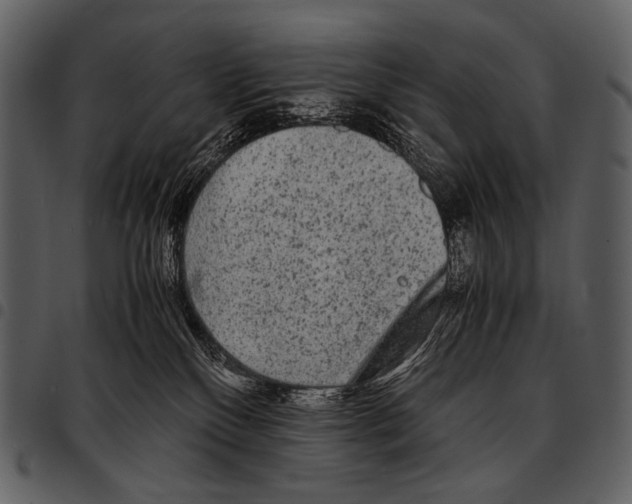 X0000097500136200803201600