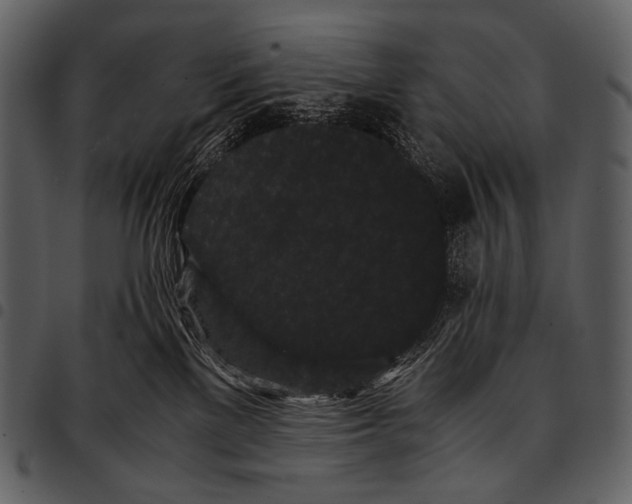 X0000097500137200803201600