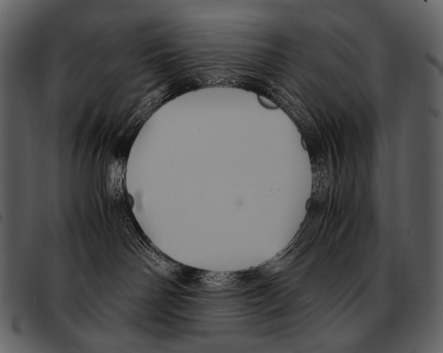 X0000097500142200803201600