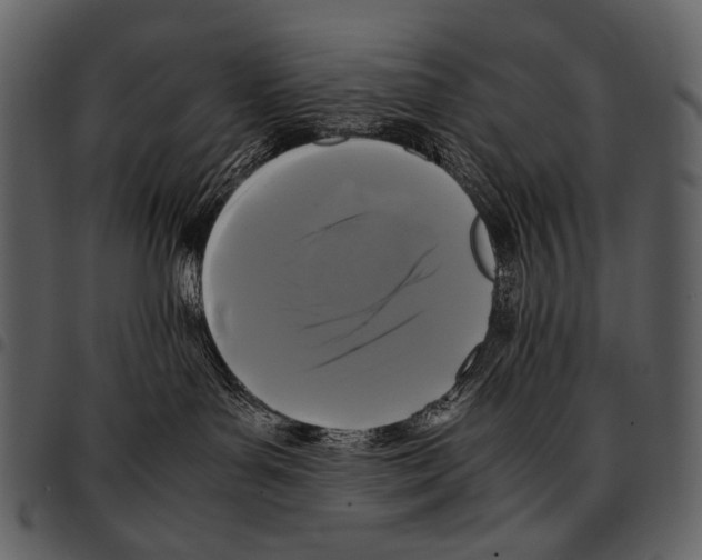 X0000097500143200803201600