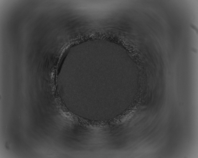 X0000097500144200803201600