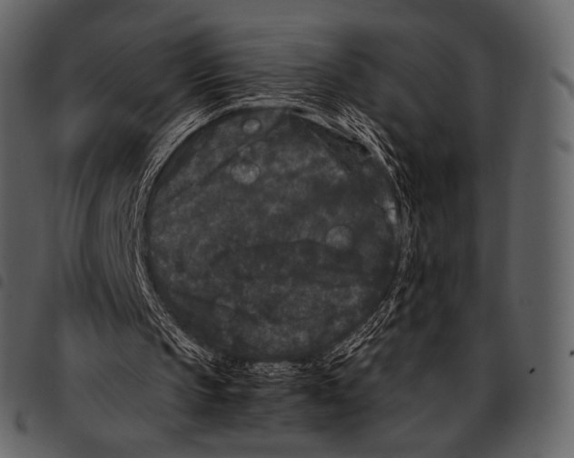 X0000097500145200803201600