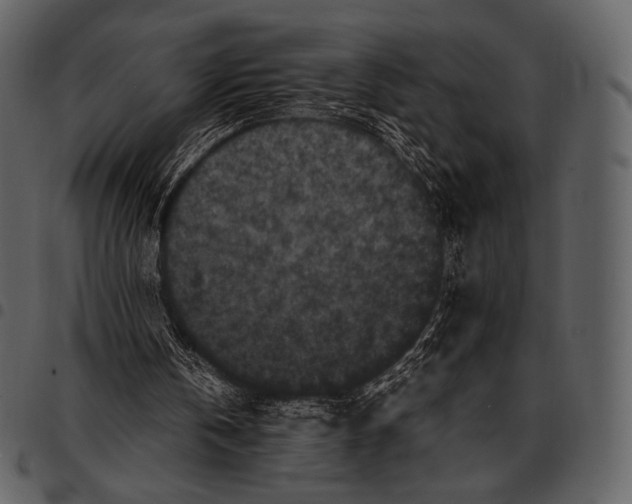 X0000097500146200803201600