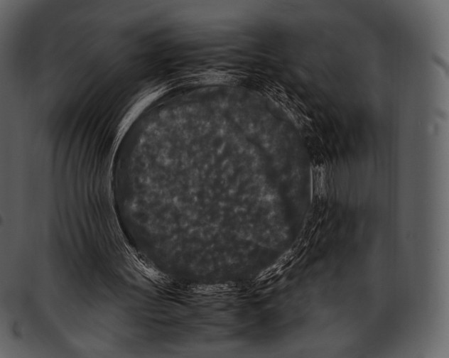 X0000097500147200803201600