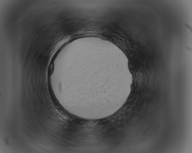 X0000097500148200803201600