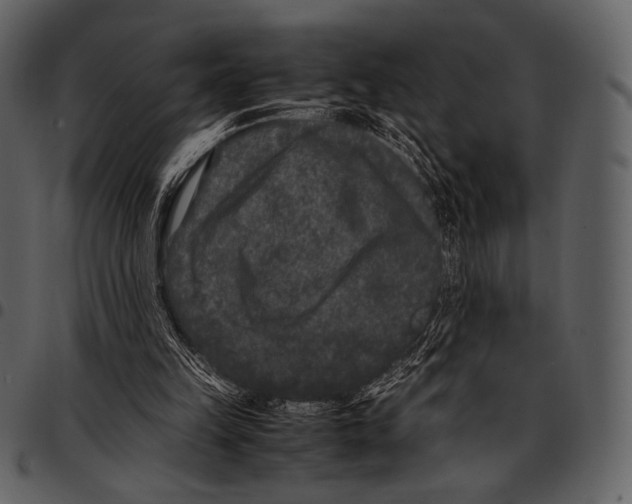 X0000097500149200803201600
