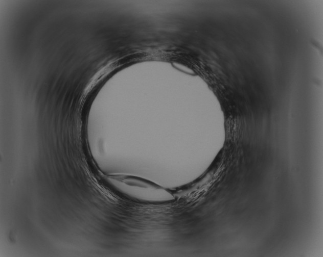 X0000097500150200803201600