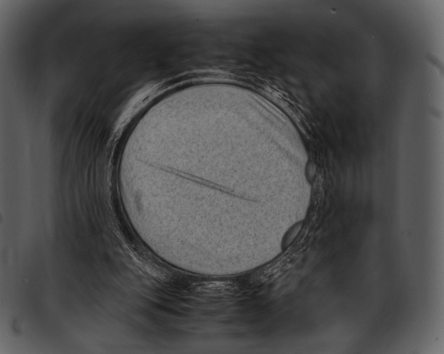 X0000097500151200803201600