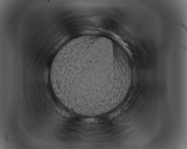 X0000097500153200803201600