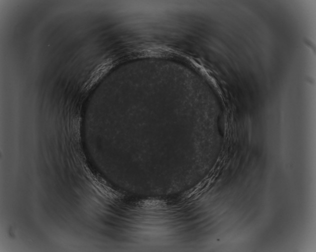 X0000097500154200803201600