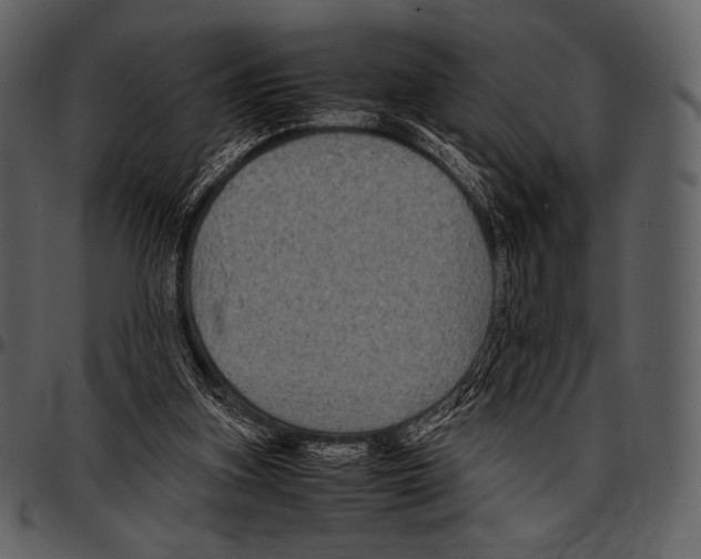X0000097500155200803201600