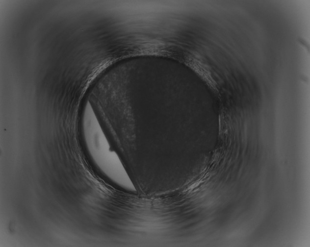 X0000097500156200803201600