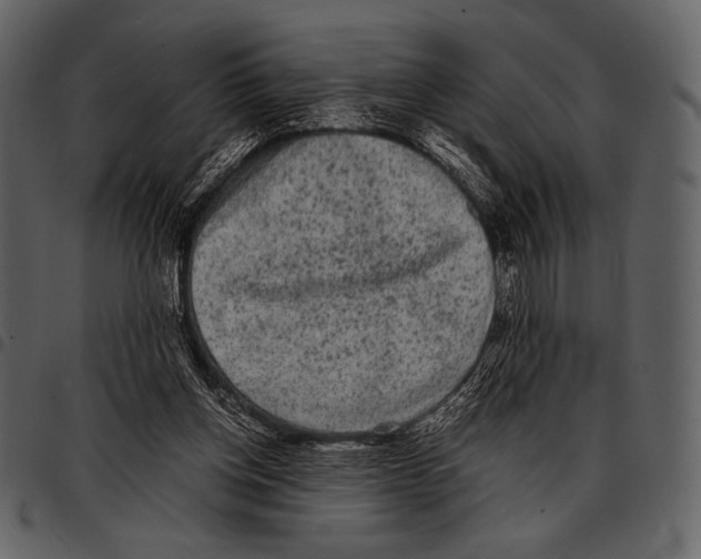 X0000097500158200803201600