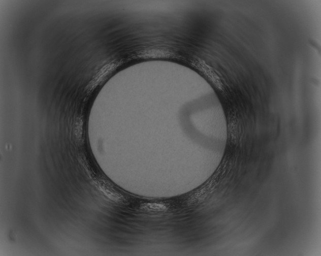 X0000097500159200803201600