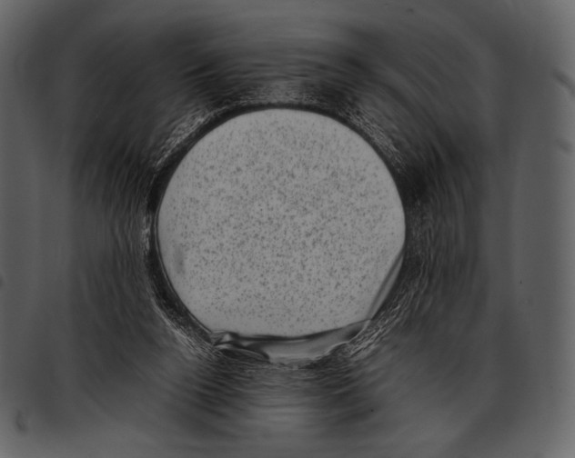 X0000097500160200803201600