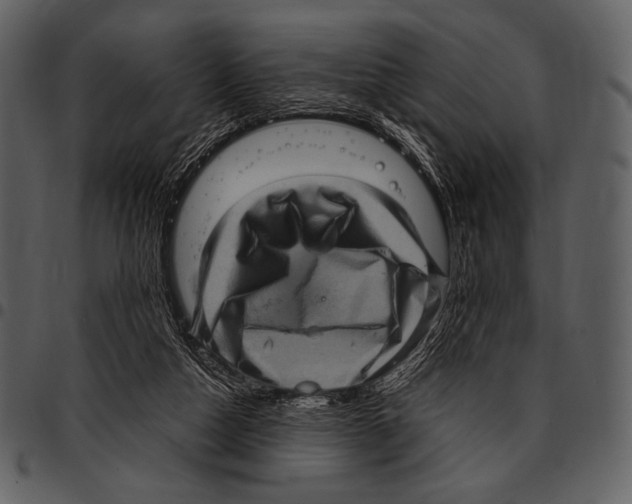 X0000097500162200803201600