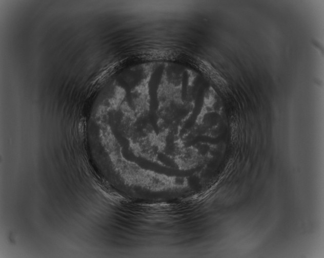 X0000097500165200803201600