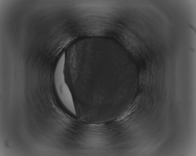 X0000097500168200803201600