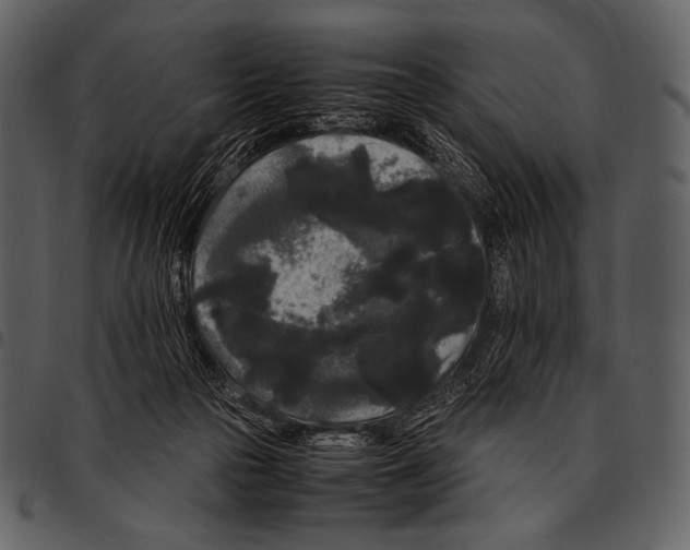 X0000097500169200803201600
