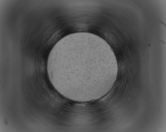 X0000097500170200803201600