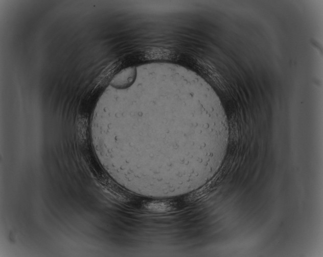 X0000097500171200803201600