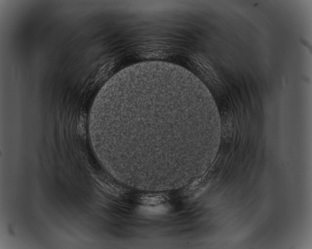 X0000097500175200803201600