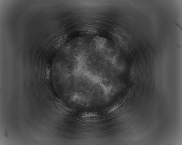 X0000097500177200803201600