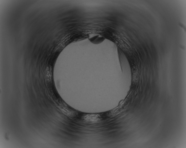 X0000097500179200803201600