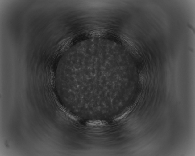 X0000097500181200803201600