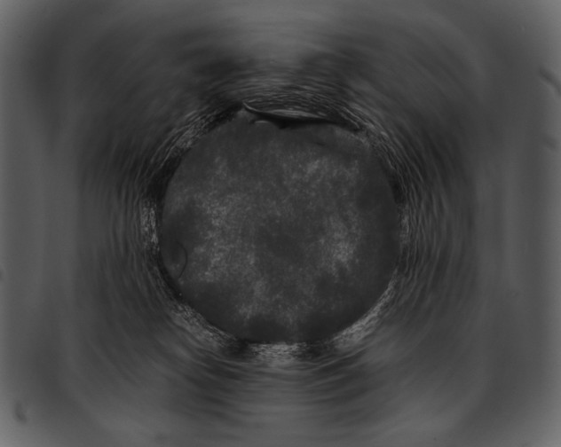 X0000097500182200803201600