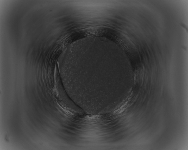 X0000097500186200803201600