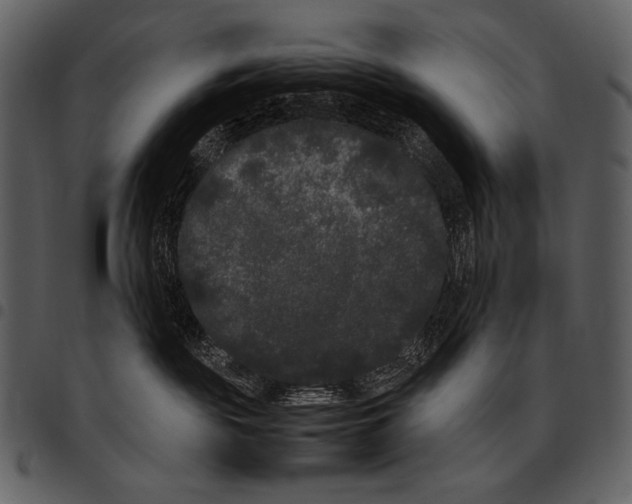 X0000097500189200803201600