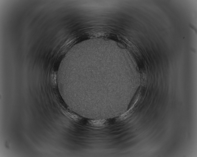 X0000097500191200803201600