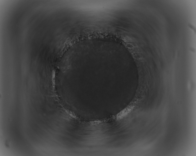 X0000097500192200803201600