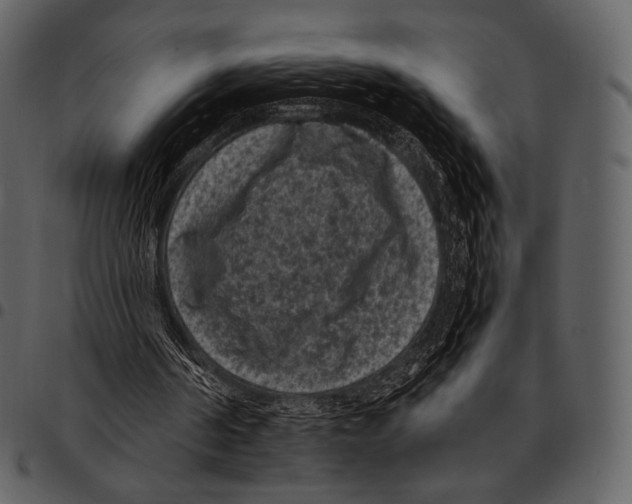 X0000097500194200803201600