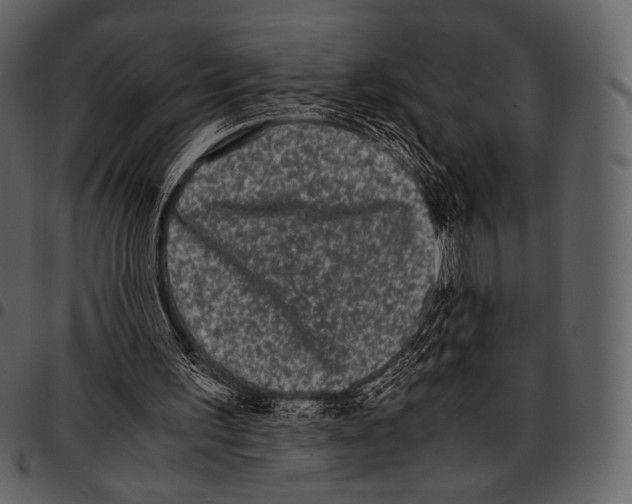 X0000097500195200803201600