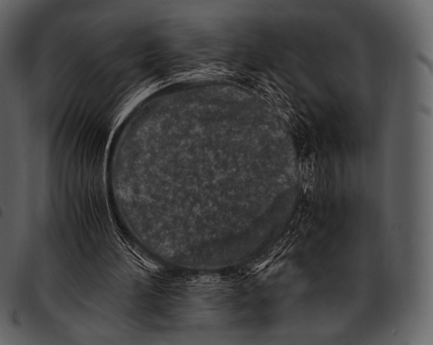 X0000097500196200803201600