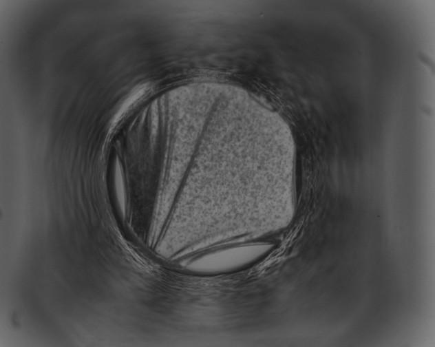 X0000097500197200803201600