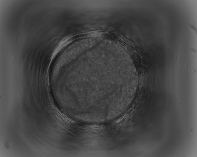 X0000097500198200803201600
