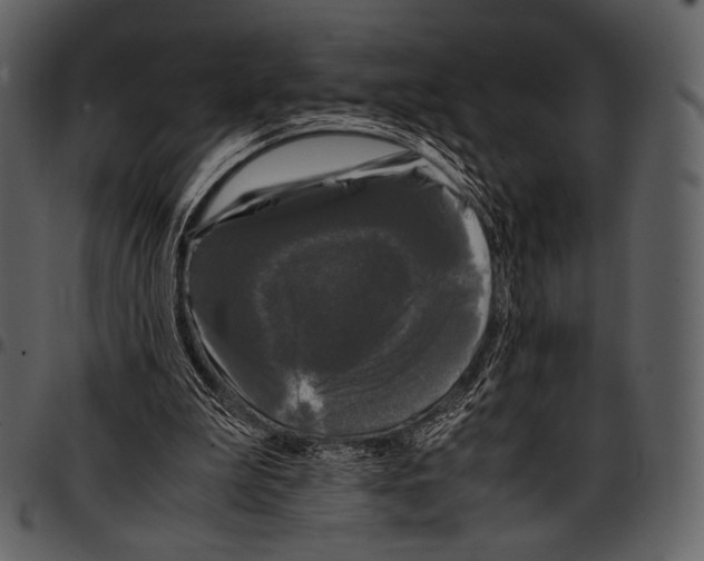 X0000097500199200803201600