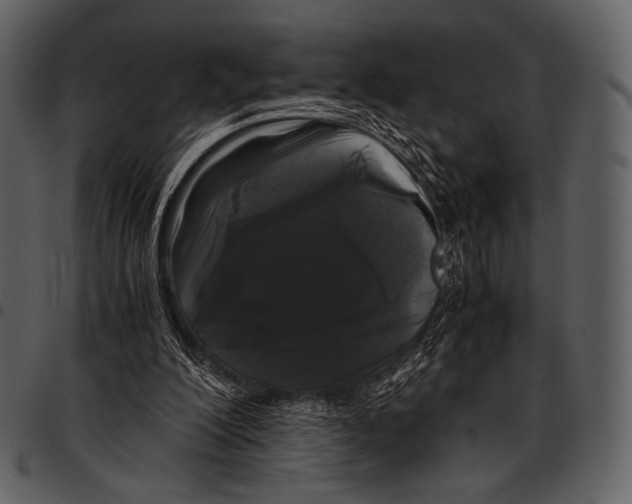 X0000097500200200803201600