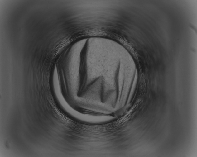 X0000097500201200803201600