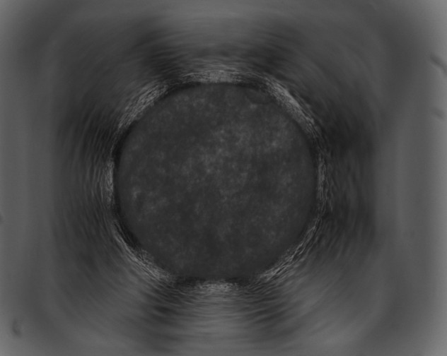 X0000097500202200803201600