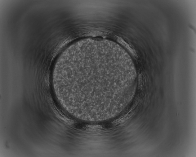 X0000097500203200803201600