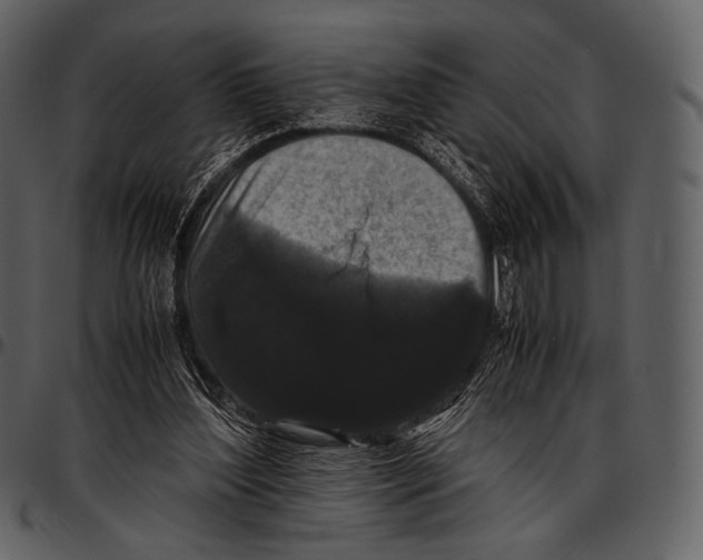 X0000097500204200803201559